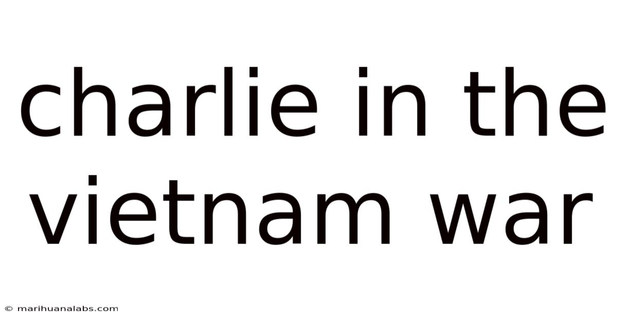 Charlie In The Vietnam War