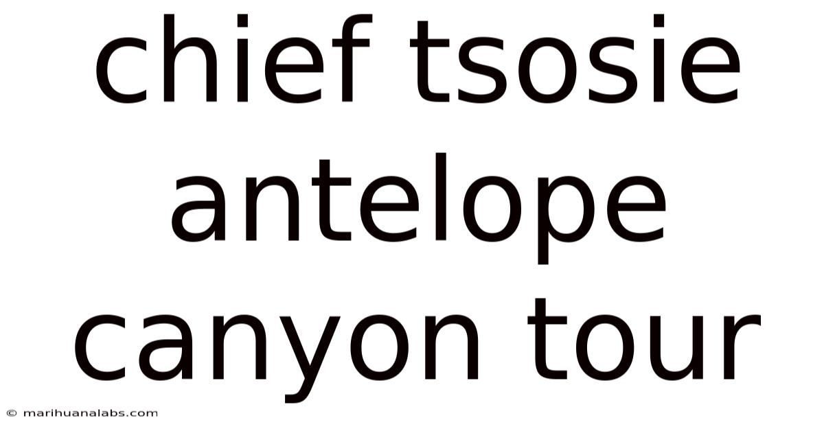 Chief Tsosie Antelope Canyon Tour