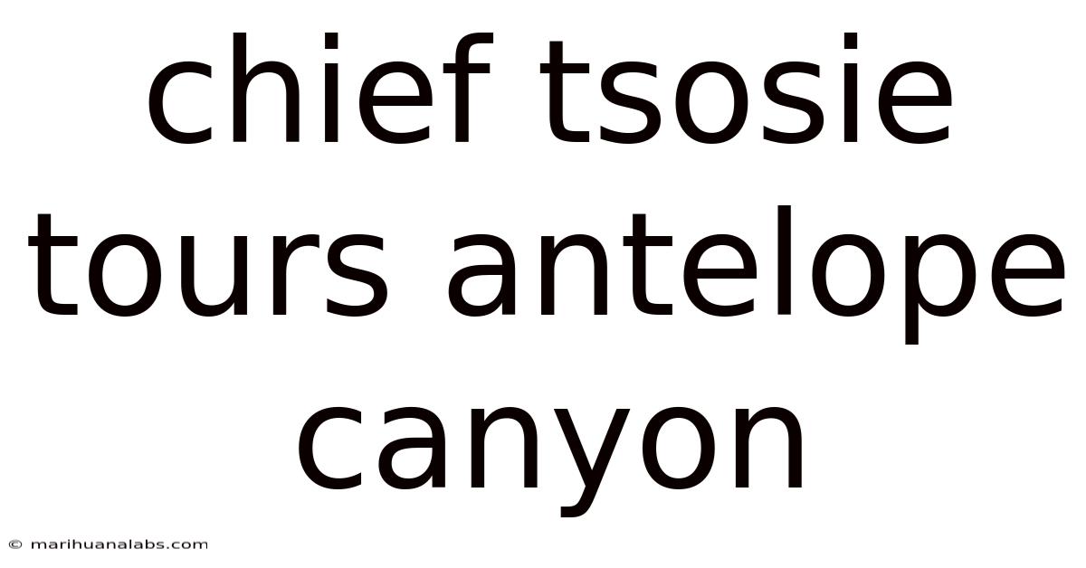 Chief Tsosie Tours Antelope Canyon