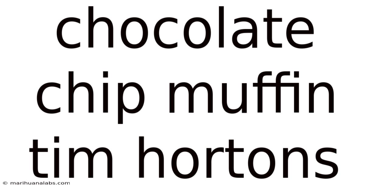 Chocolate Chip Muffin Tim Hortons