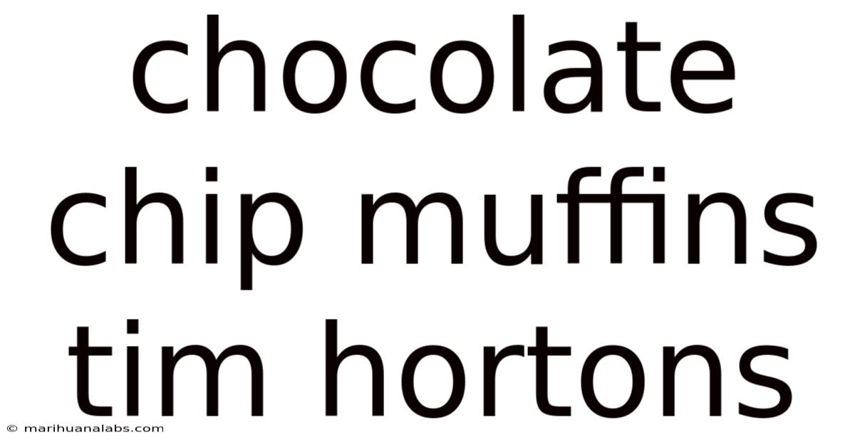 Chocolate Chip Muffins Tim Hortons