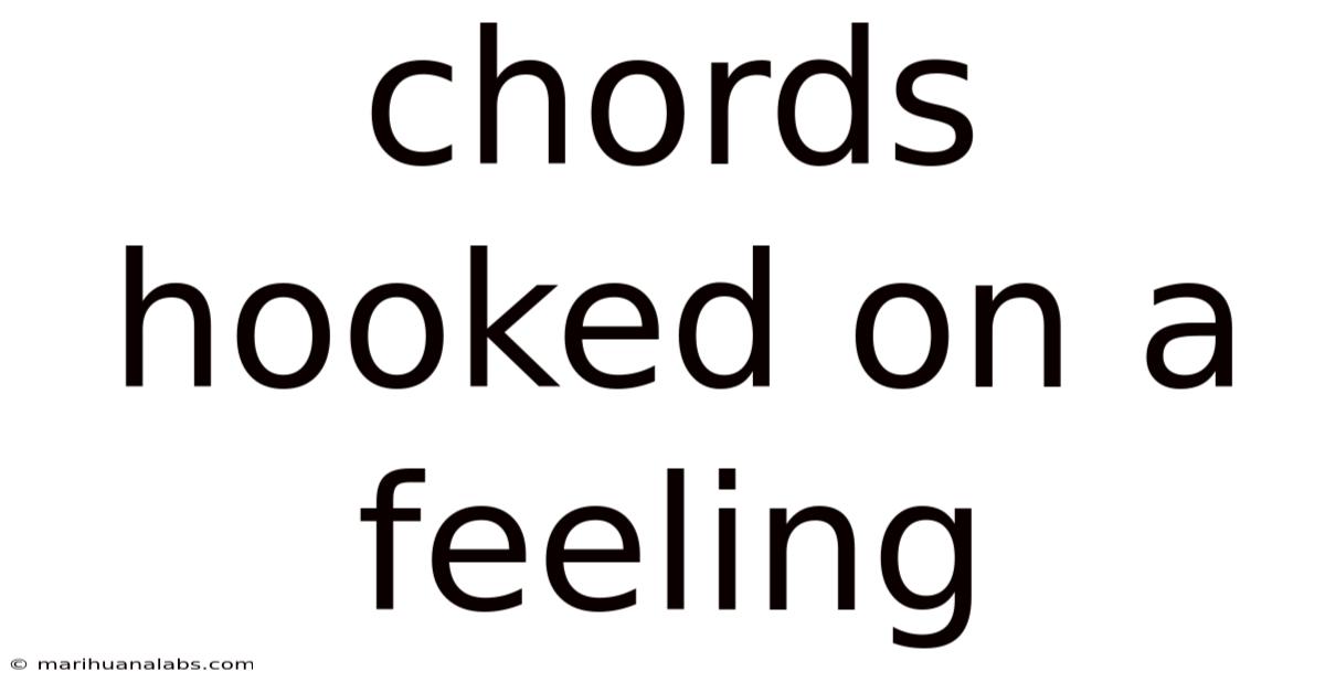 Chords Hooked On A Feeling