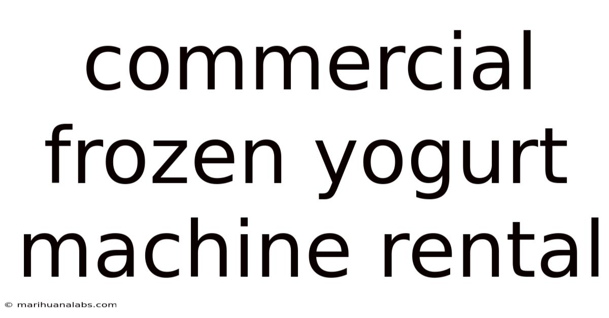 Commercial Frozen Yogurt Machine Rental