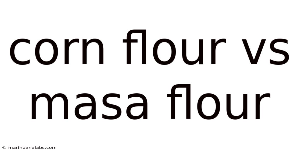 Corn Flour Vs Masa Flour