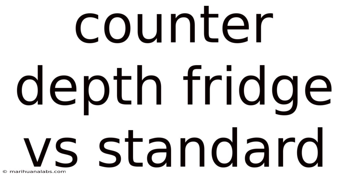 Counter Depth Fridge Vs Standard