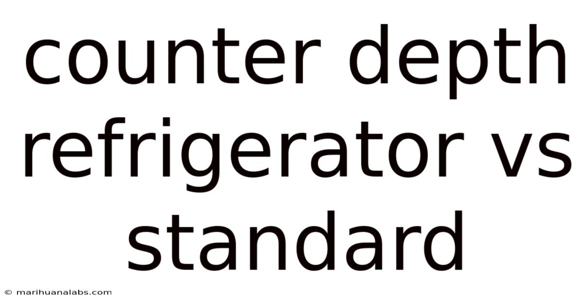 Counter Depth Refrigerator Vs Standard