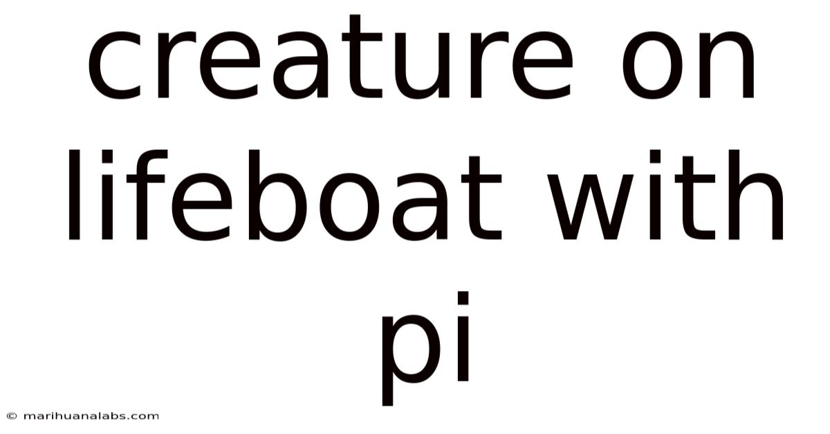 Creature On Lifeboat With Pi