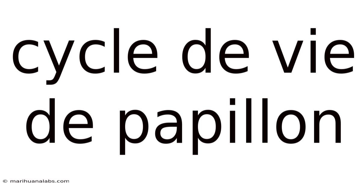 Cycle De Vie De Papillon