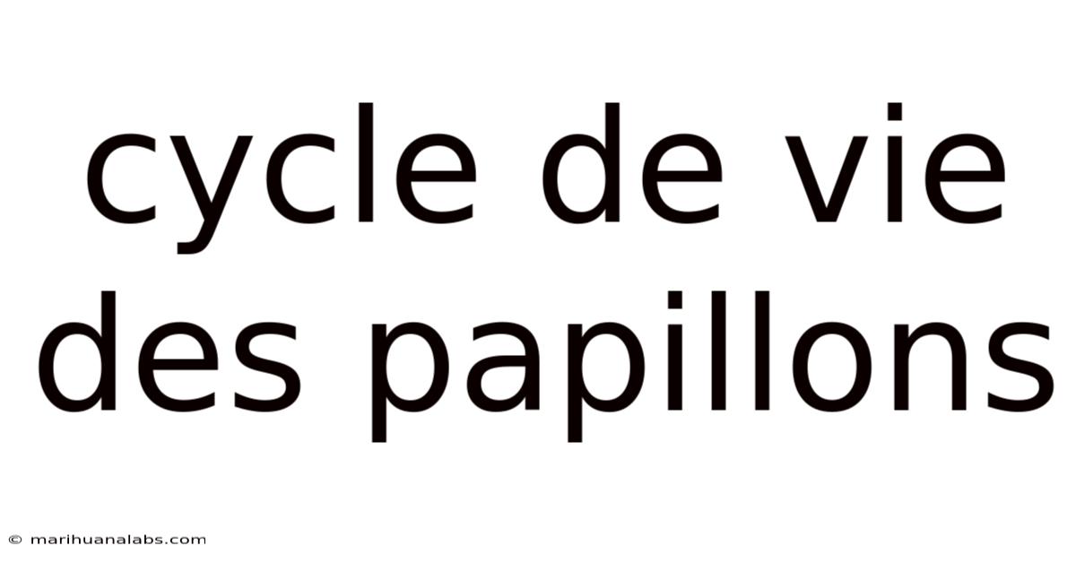 Cycle De Vie Des Papillons