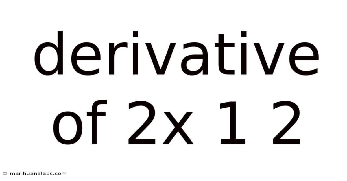 Derivative Of 2x 1 2