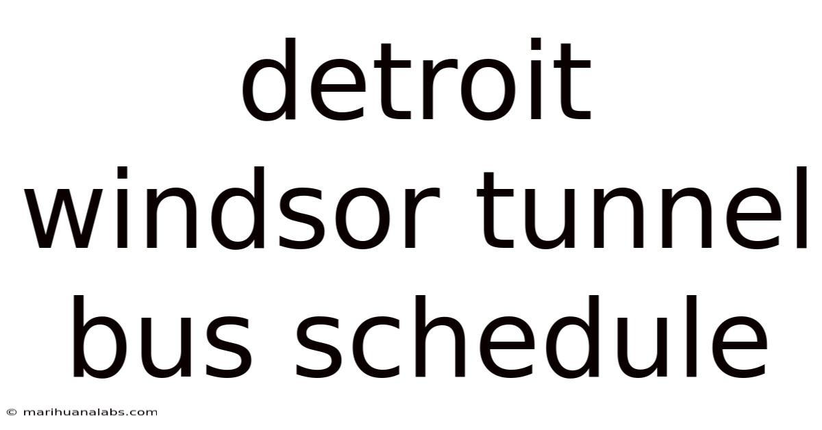 Detroit Windsor Tunnel Bus Schedule