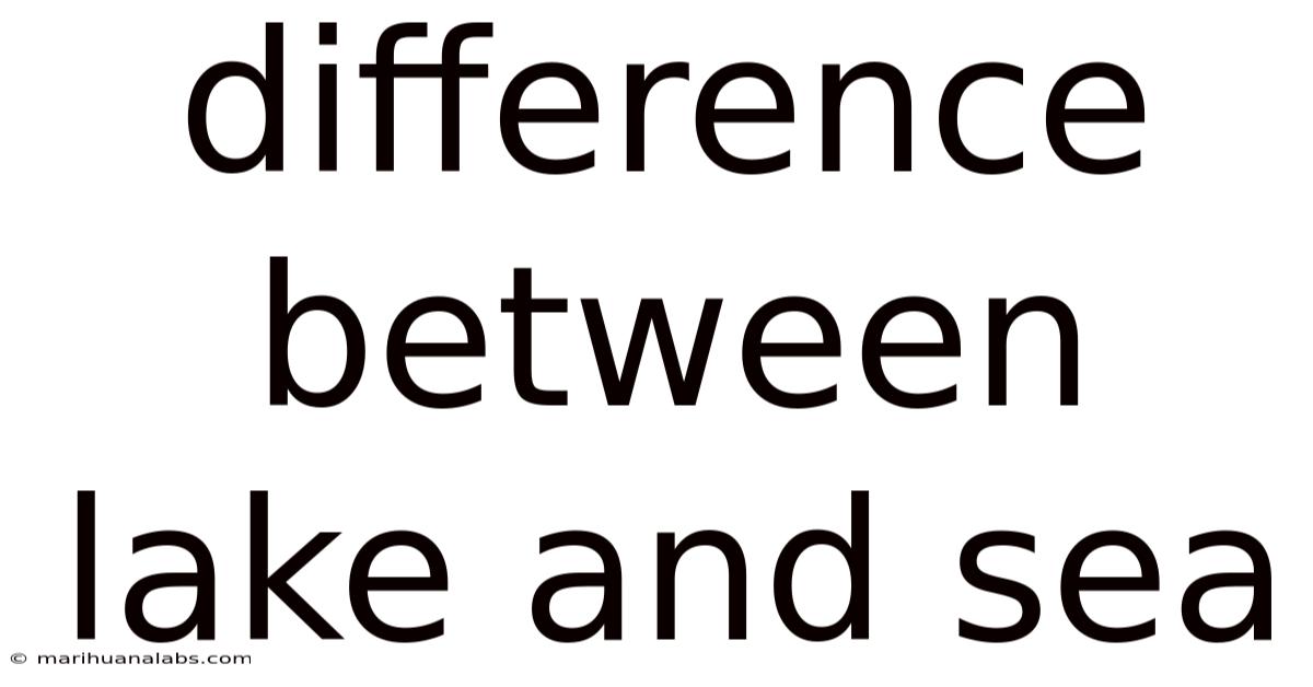 Difference Between Lake And Sea