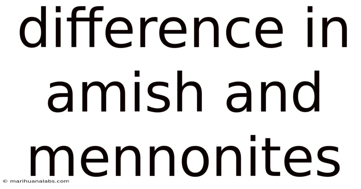 Difference In Amish And Mennonites