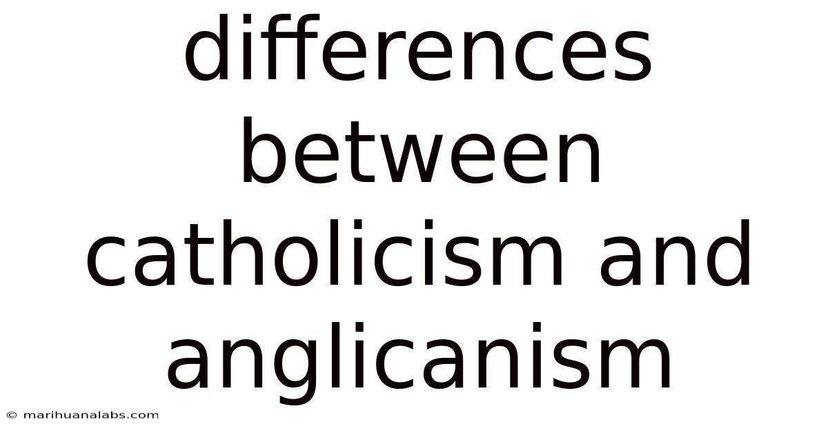 Differences Between Catholicism And Anglicanism