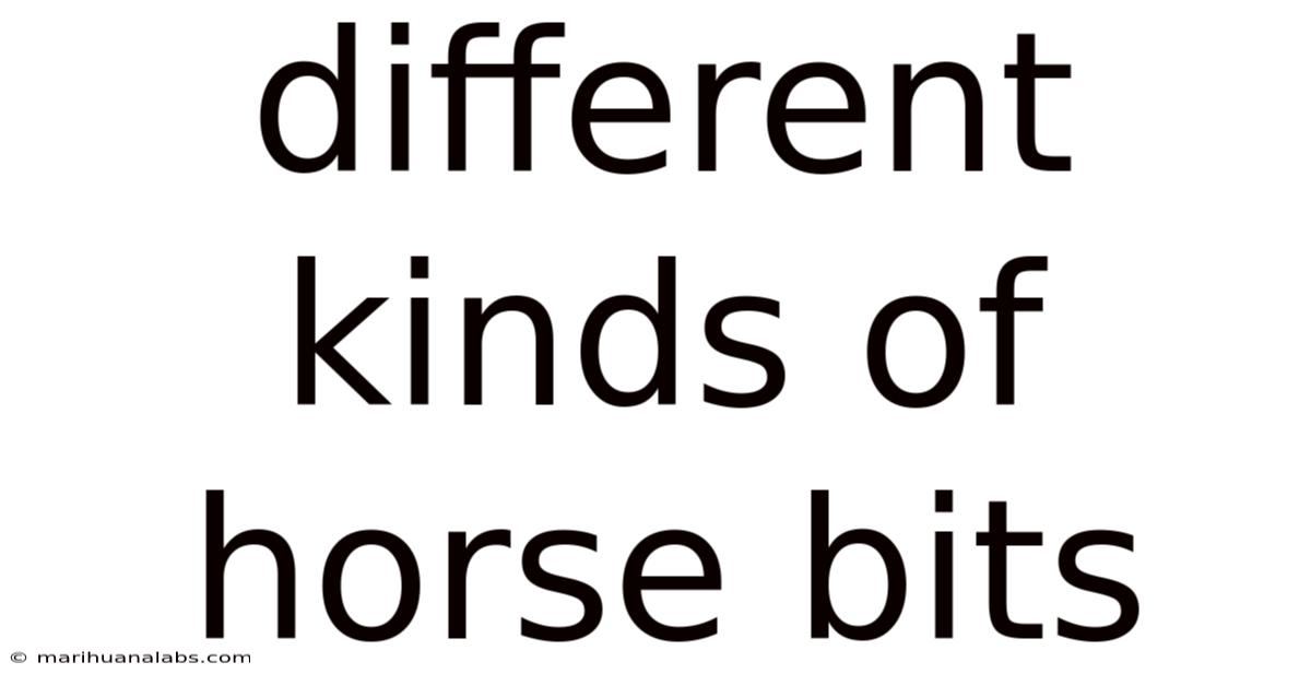 Different Kinds Of Horse Bits