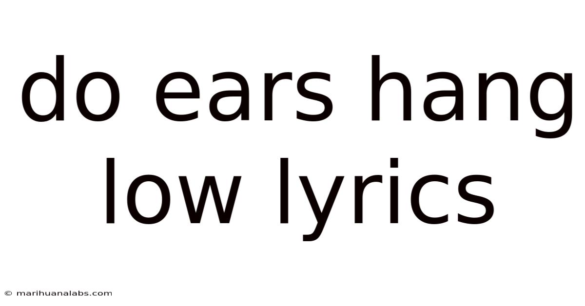 Do Ears Hang Low Lyrics