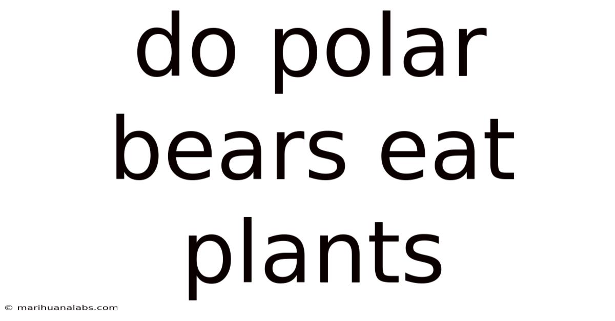 Do Polar Bears Eat Plants