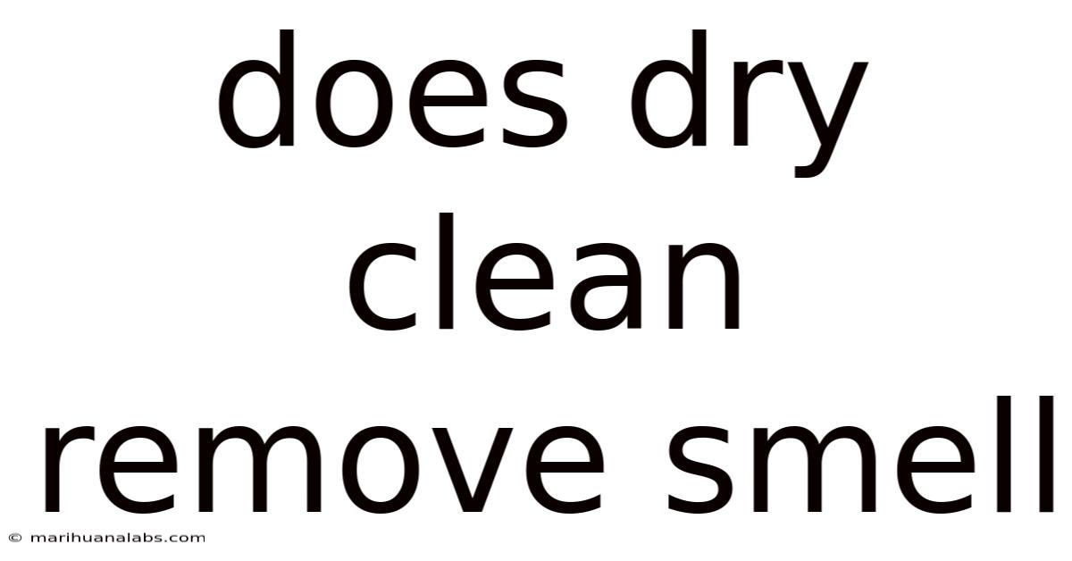 Does Dry Clean Remove Smell