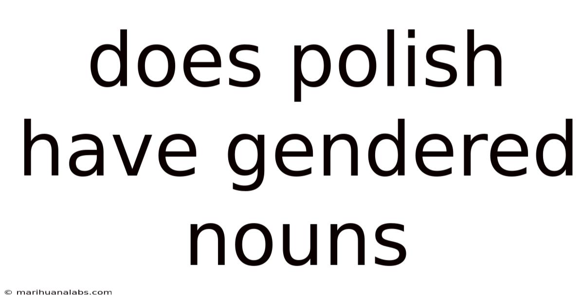 Does Polish Have Gendered Nouns