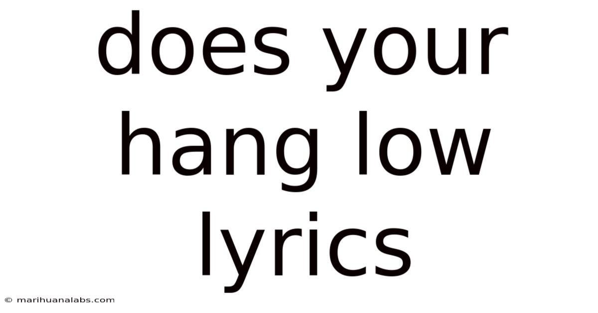 Does Your Hang Low Lyrics
