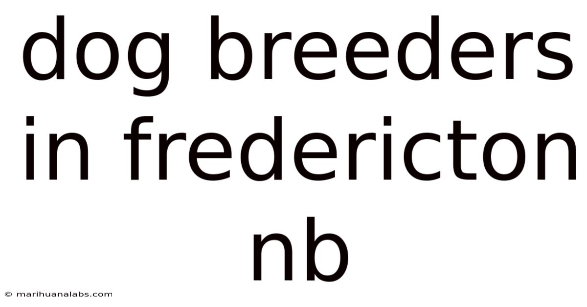 Dog Breeders In Fredericton Nb