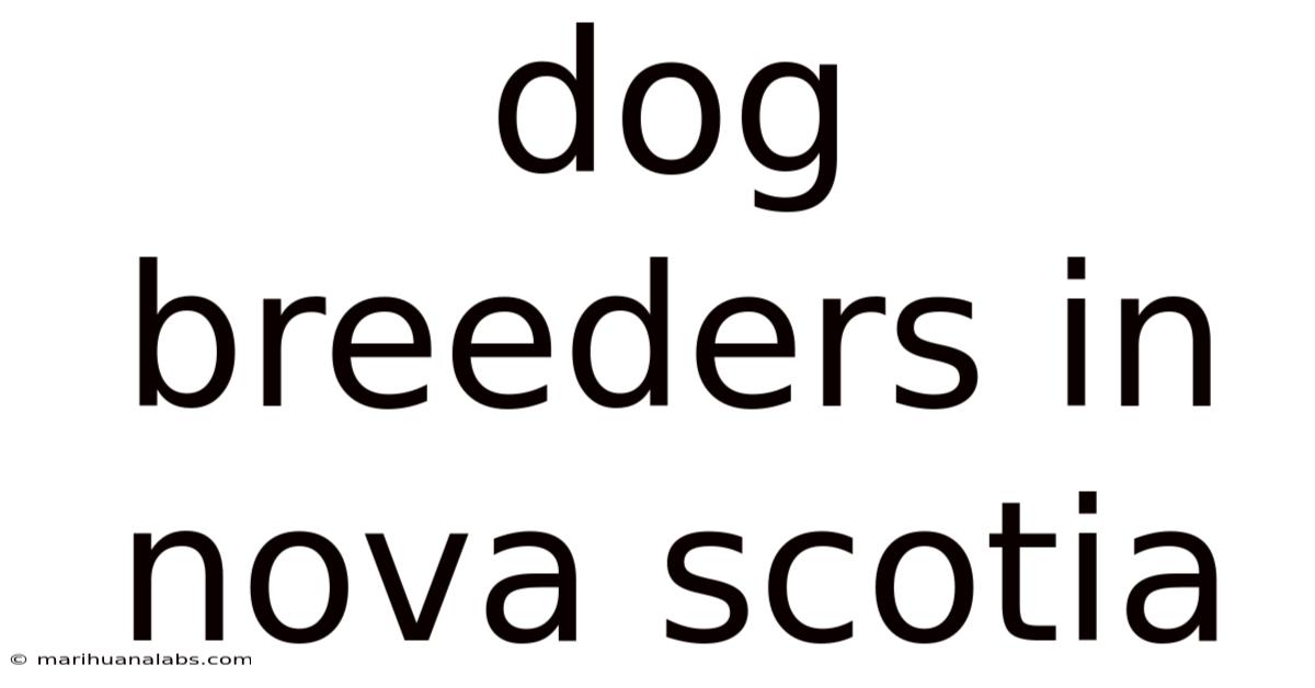 Dog Breeders In Nova Scotia
