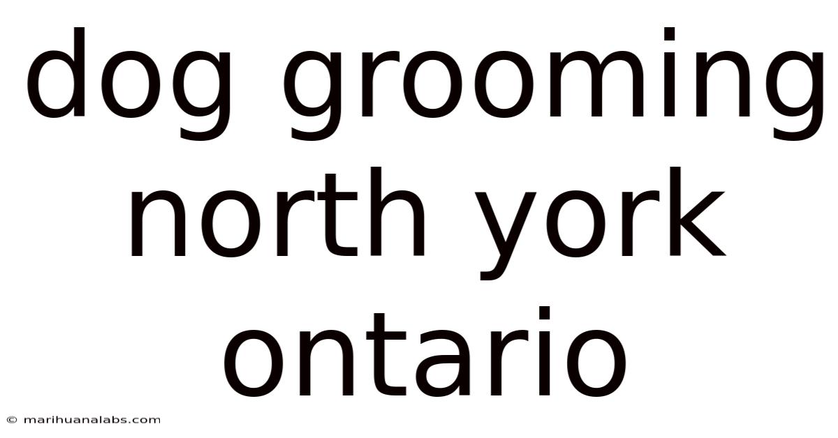 Dog Grooming North York Ontario