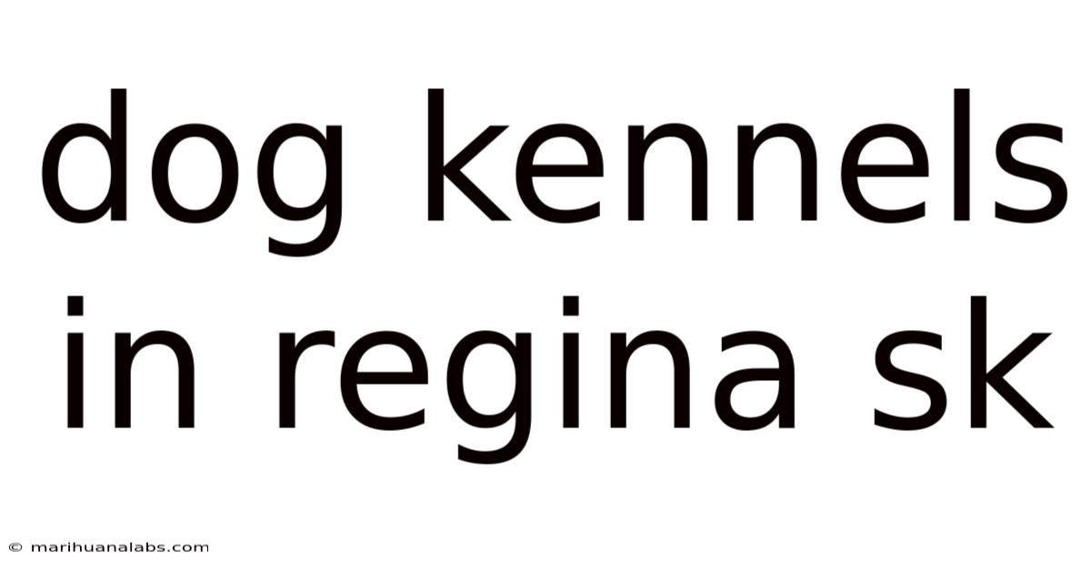 Dog Kennels In Regina Sk