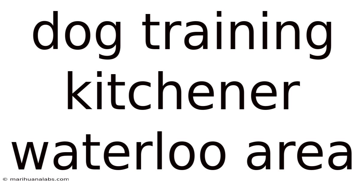 Dog Training Kitchener Waterloo Area