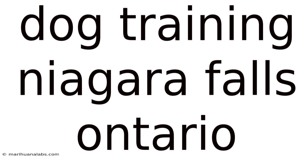 Dog Training Niagara Falls Ontario