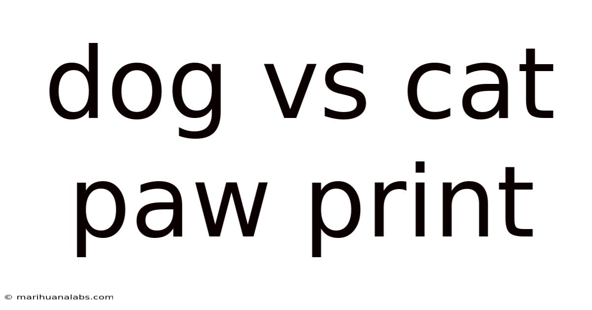 Dog Vs Cat Paw Print
