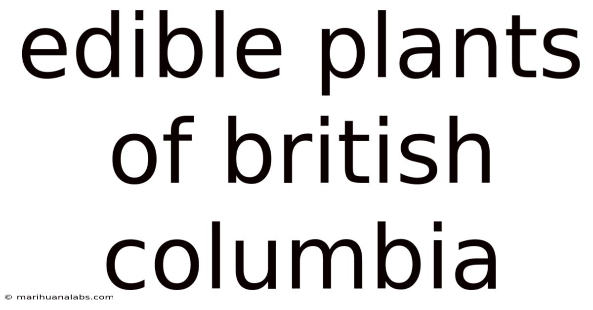 Edible Plants Of British Columbia