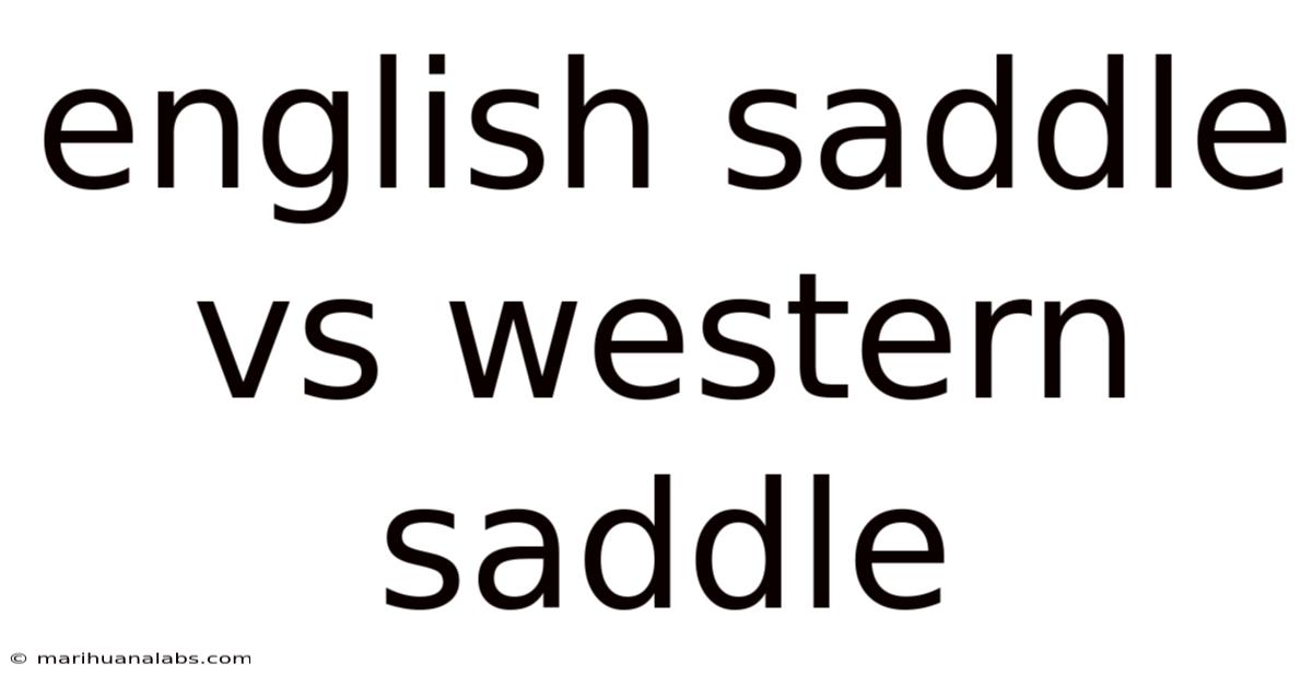 English Saddle Vs Western Saddle