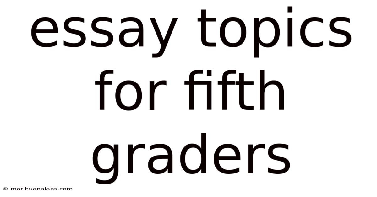 Essay Topics For Fifth Graders