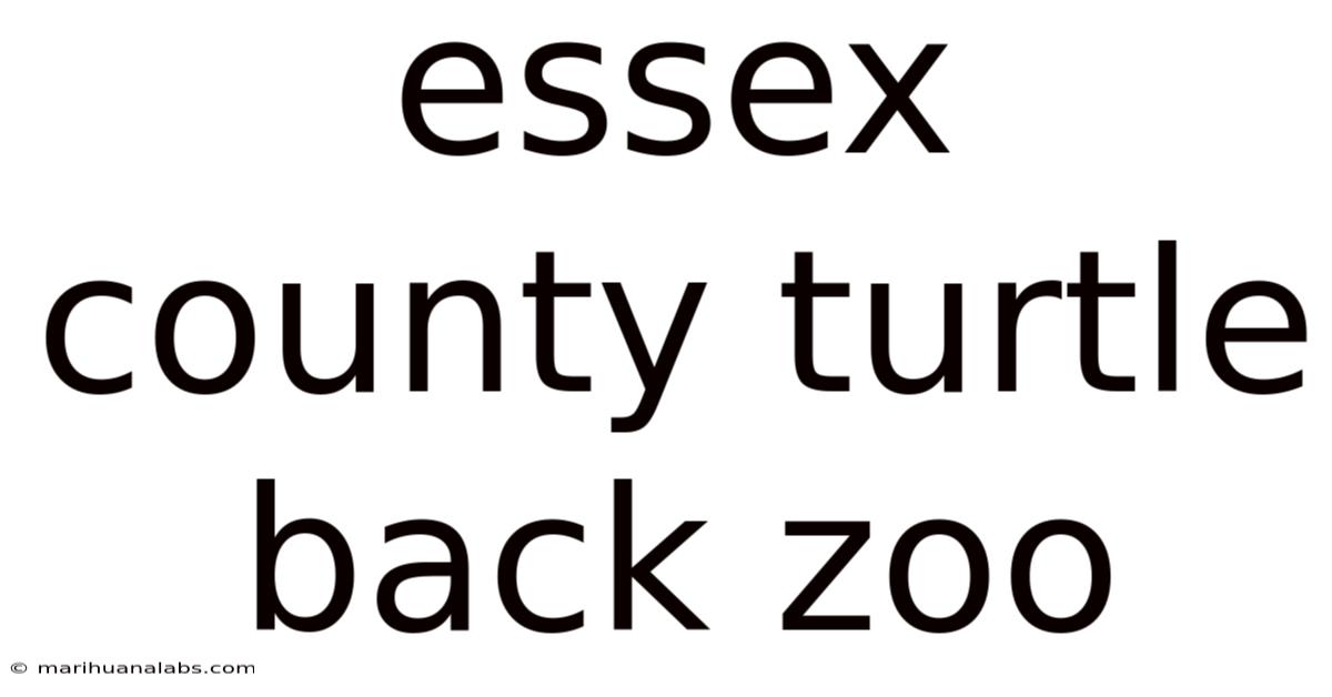 Essex County Turtle Back Zoo