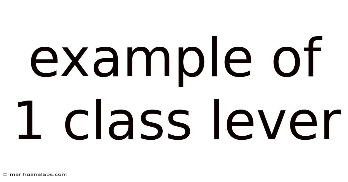 Example Of 1 Class Lever