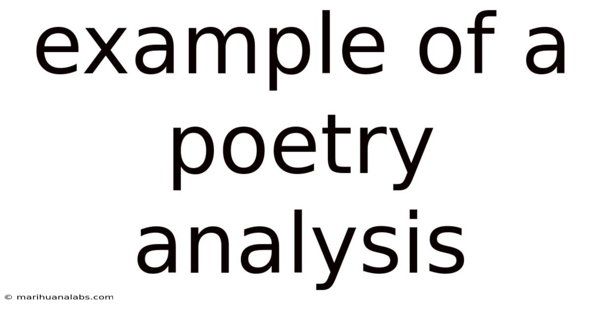 Example Of A Poetry Analysis