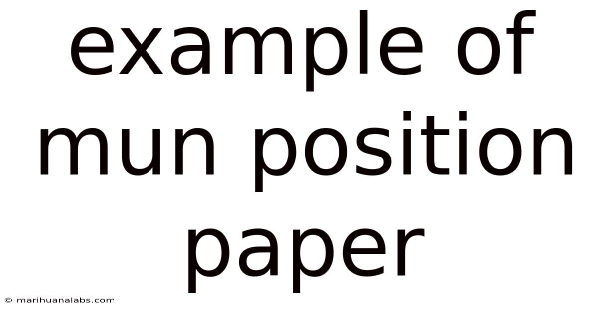 Example Of Mun Position Paper