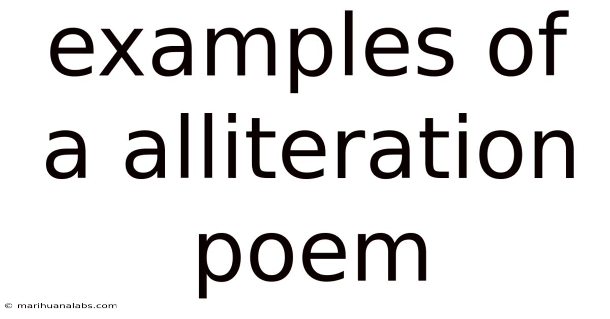 Examples Of A Alliteration Poem
