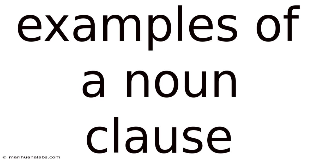 Examples Of A Noun Clause