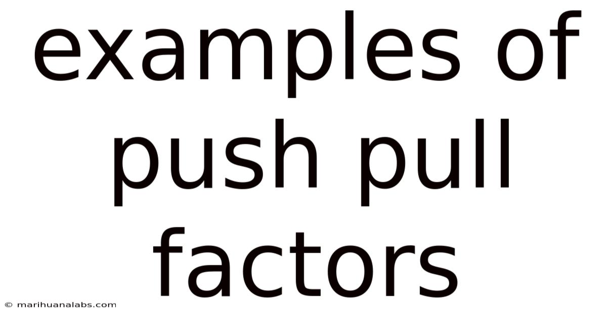 Examples Of Push Pull Factors