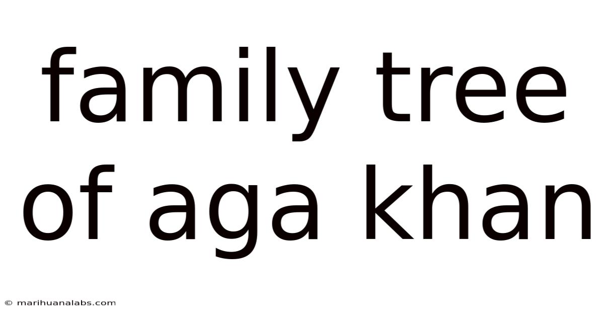 Family Tree Of Aga Khan