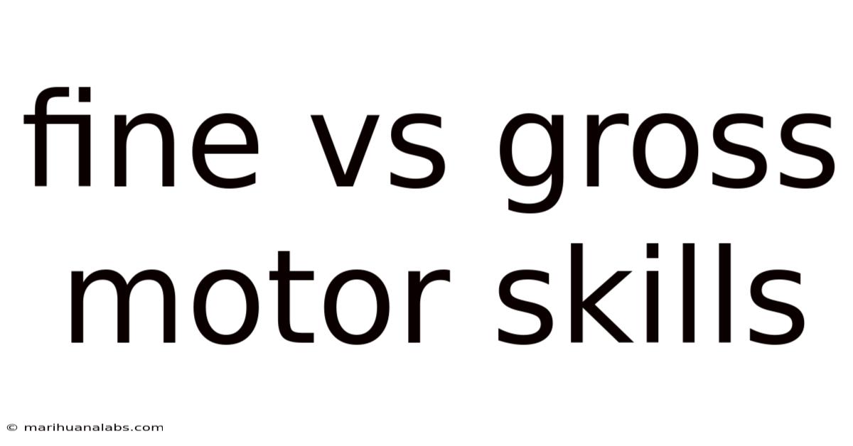 Fine Vs Gross Motor Skills