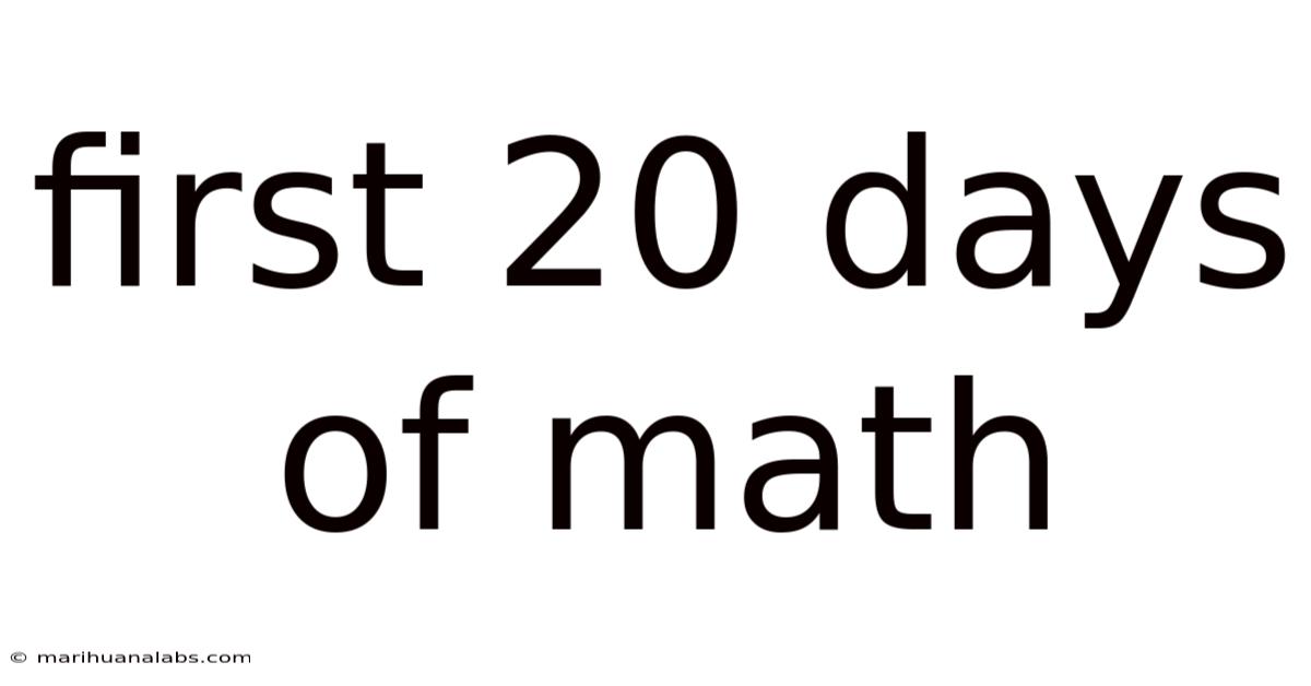 First 20 Days Of Math