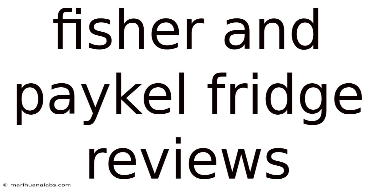 Fisher And Paykel Fridge Reviews