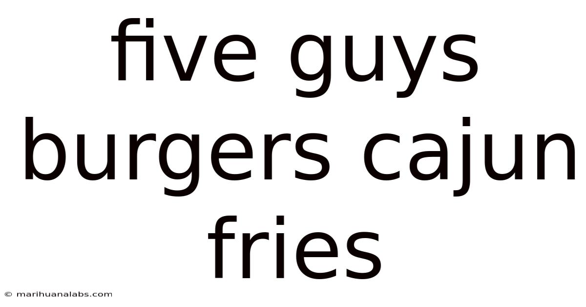 Five Guys Burgers Cajun Fries