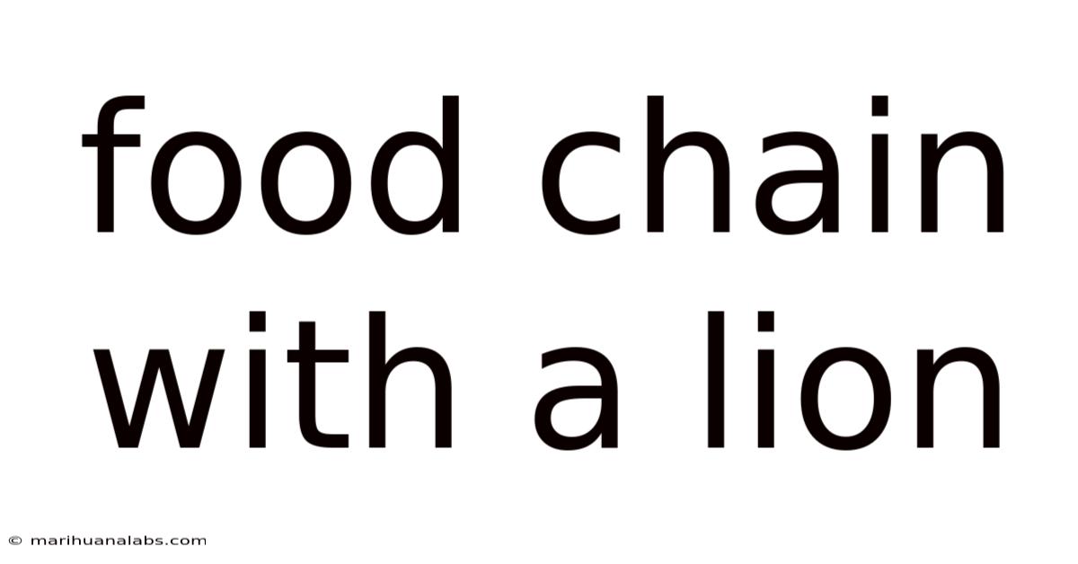 Food Chain With A Lion