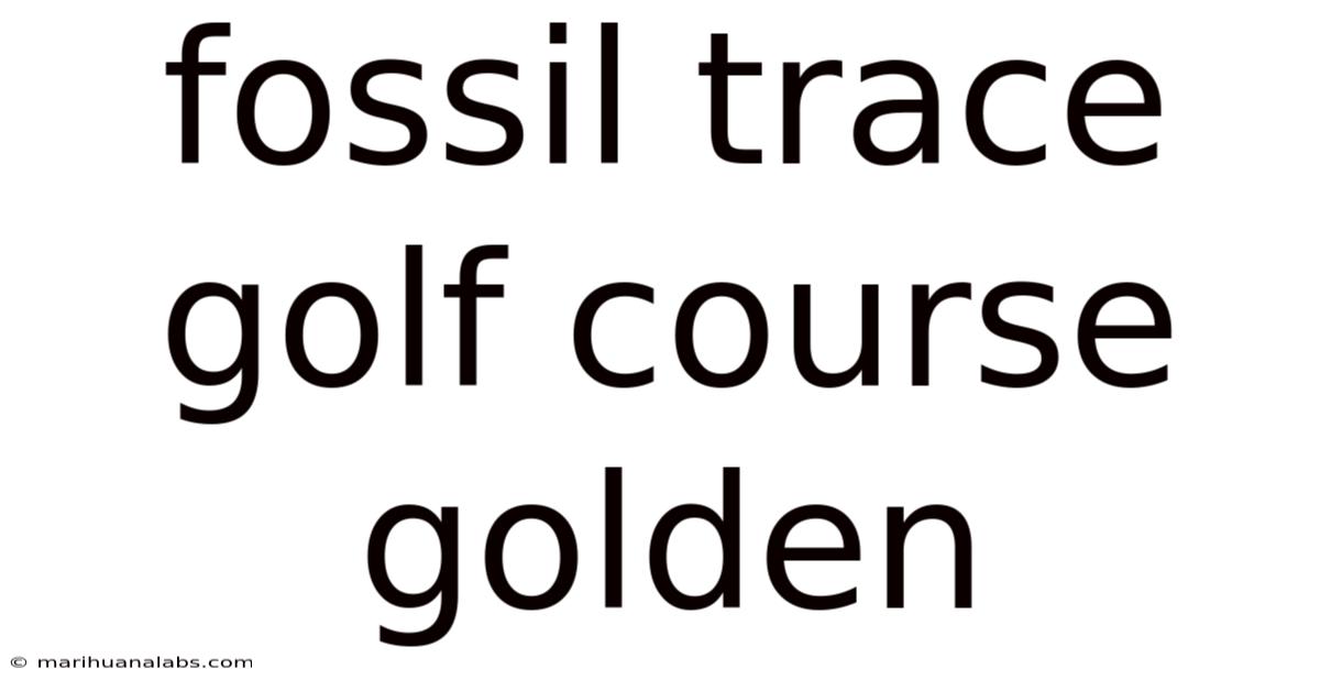 Fossil Trace Golf Course Golden
