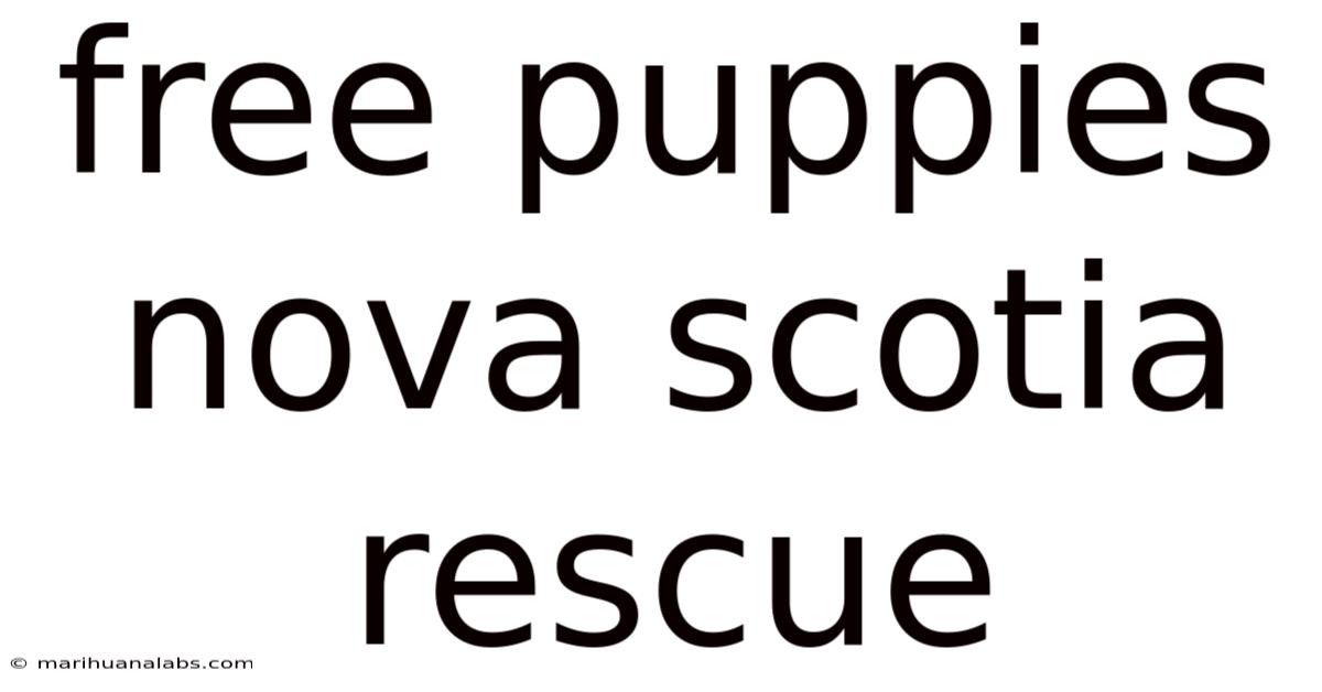 Free Puppies Nova Scotia Rescue