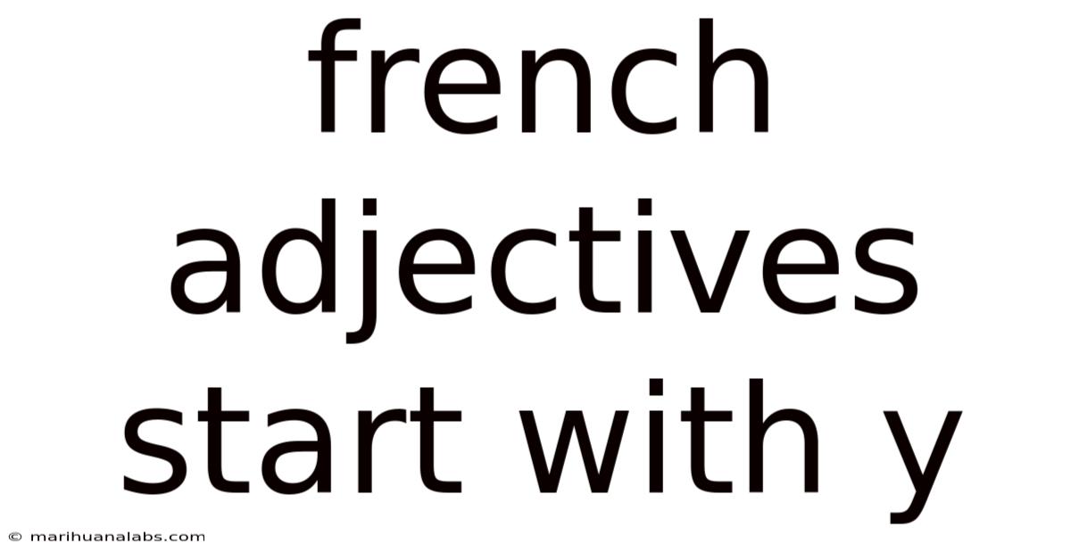 French Adjectives Start With Y